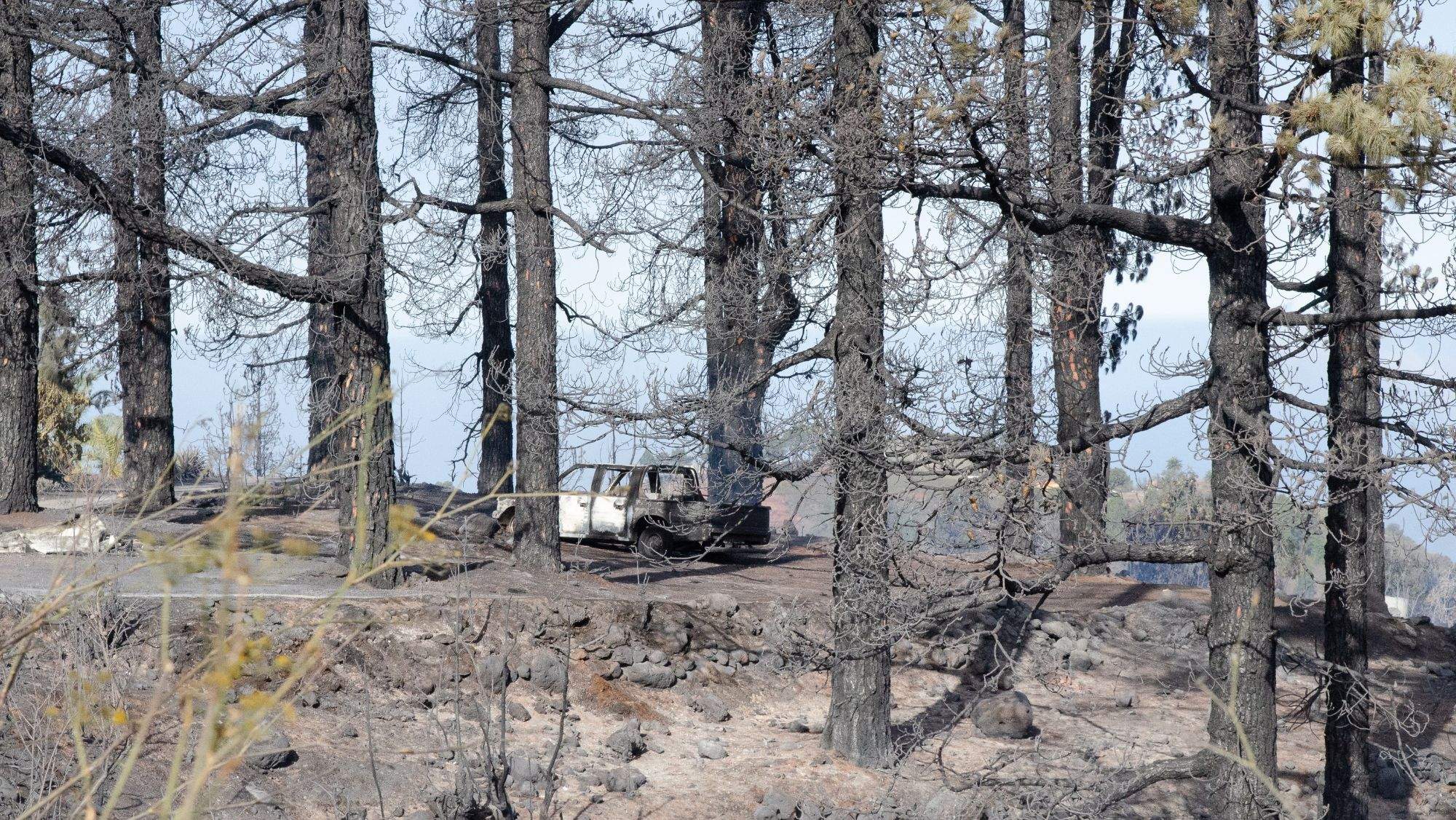 Un vehículo calcinado en la zona del incendio en Puntagorda / EGE / MIGUEL CALERO Un vehículo calcinado en la zona del incendio en Puntagorda / EGE / MIGUEL CALERO