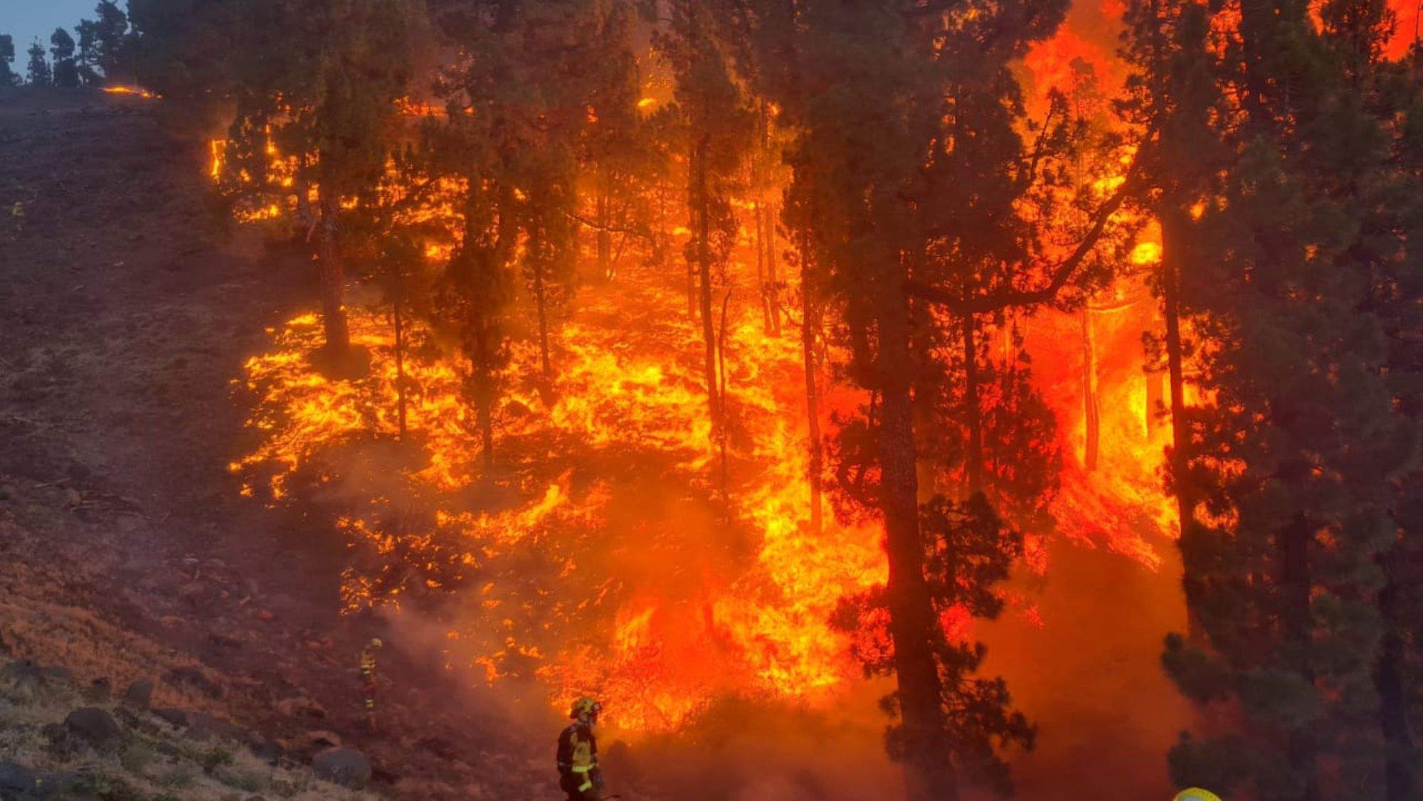 Un miembro de Brifor frente a las llamas del incendio de La Palma. / @AT_BRIF Un miembro de Brifor frente a las llamas del incendio de La Palma. / @AT_BRIF