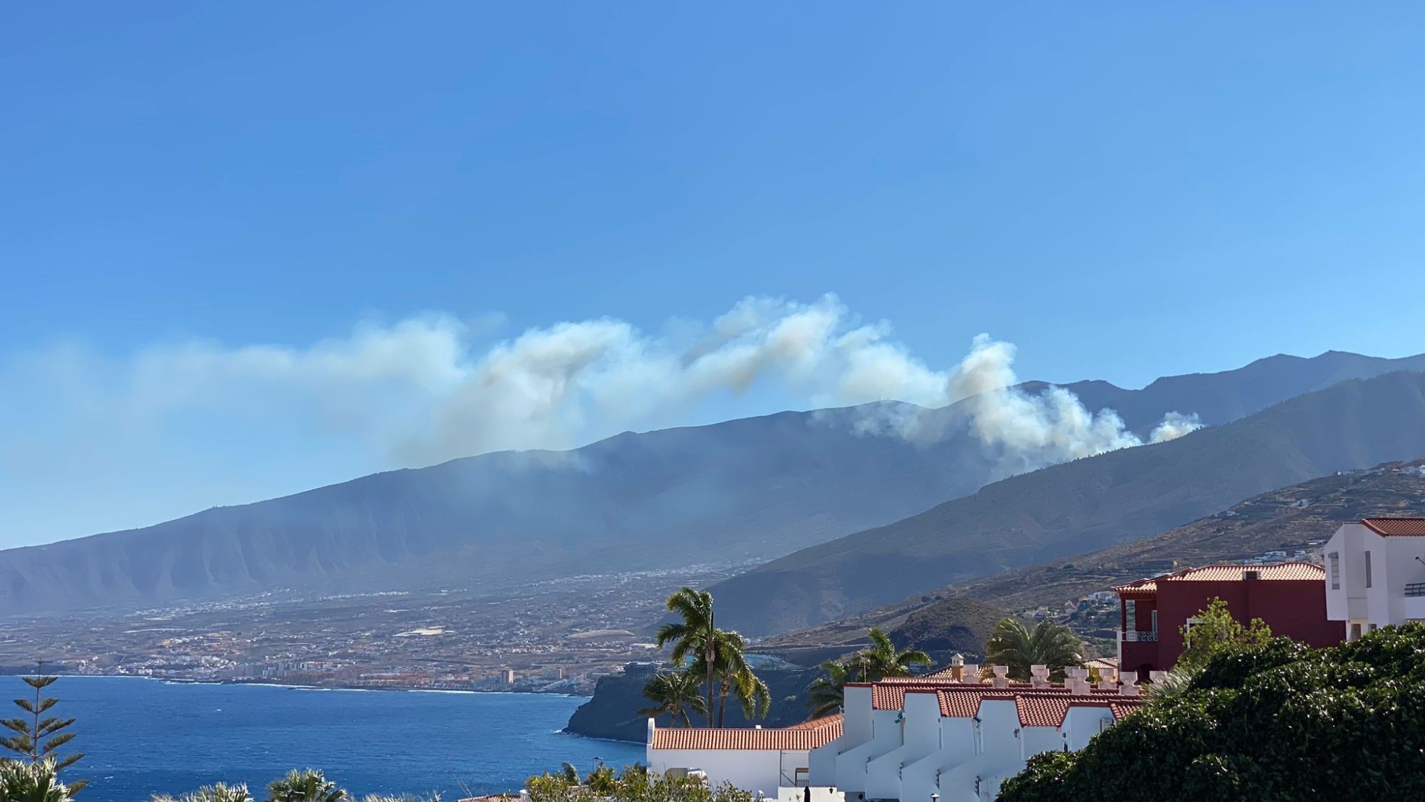 Humo del incendio registrado en Arafo / CABILDO DE TENERIFE