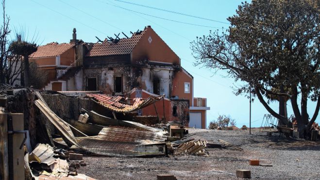  Imagen de los daños provocados por el incendio de La Palma en el municipio de Puntagorda. EFE / Luis G Morera