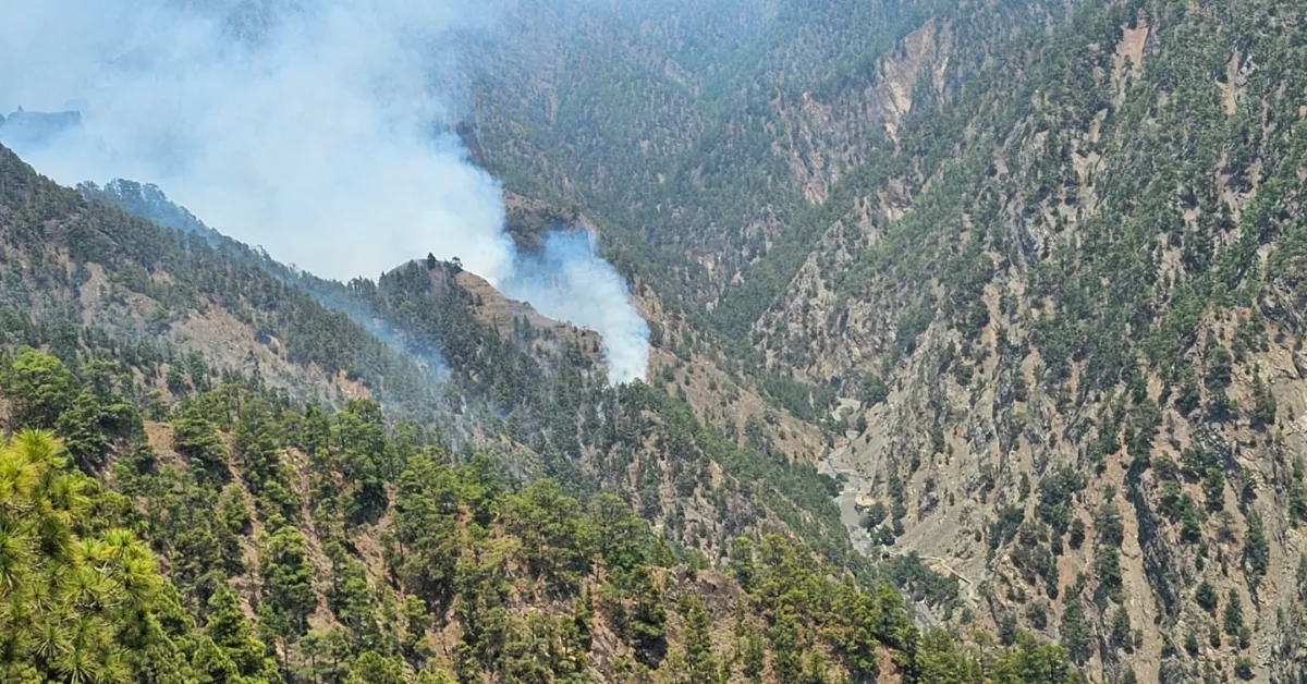 Imagen del incendio / TWITTER FRANCISCO GRILLO