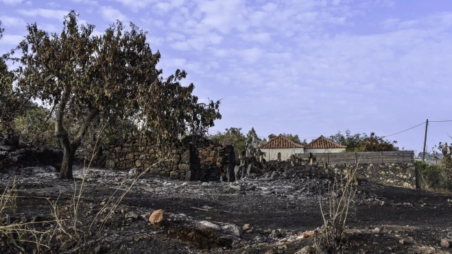 Inmuebles afectados en el incendio de La Palma. / EFE - MIGUEL CALERO Inmuebles afectados en el incendio de La Palma. / EFE - MIGUEL CALERO