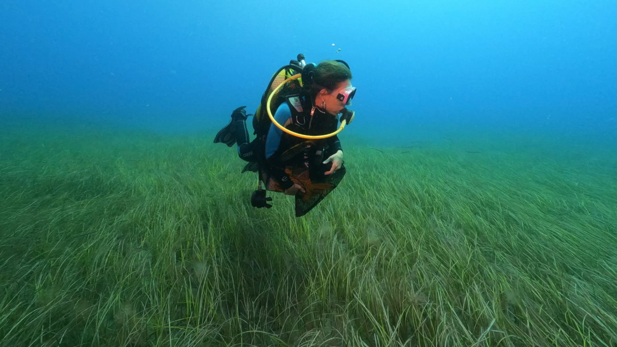 Sandra Navarro, estudiante de doctorado del grupo del proyecto / FRANCISCO OTERO