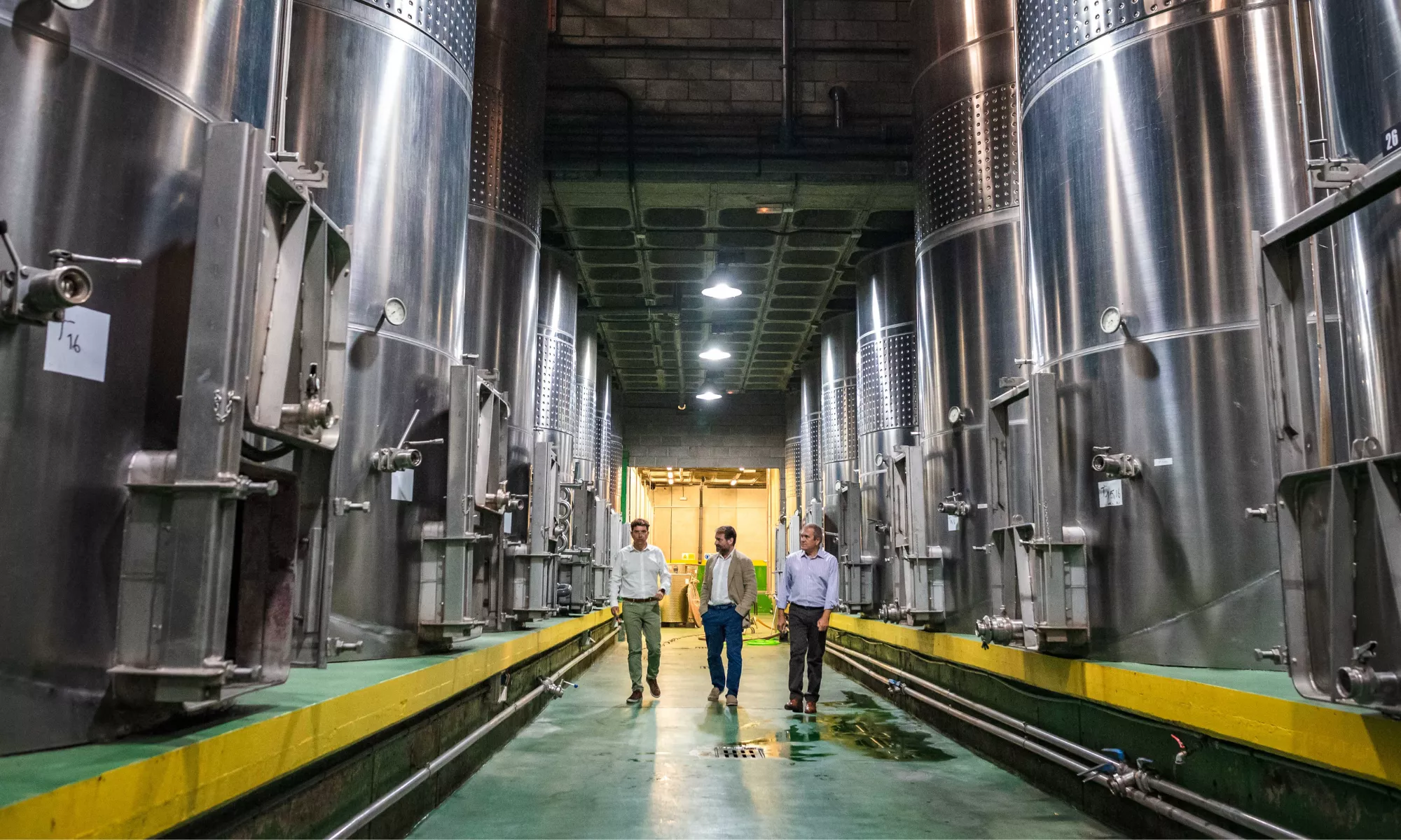 Visita del Cabildo de Tenerife a uno de los órganos dedicados a la gestión de las denominaciones de origen. / CEDIDA