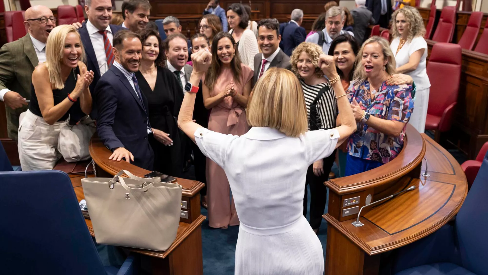 Australia Navarro (PP, de espaldas) celebra con el grupo parlamentario popular su designación como senadora./ EFE