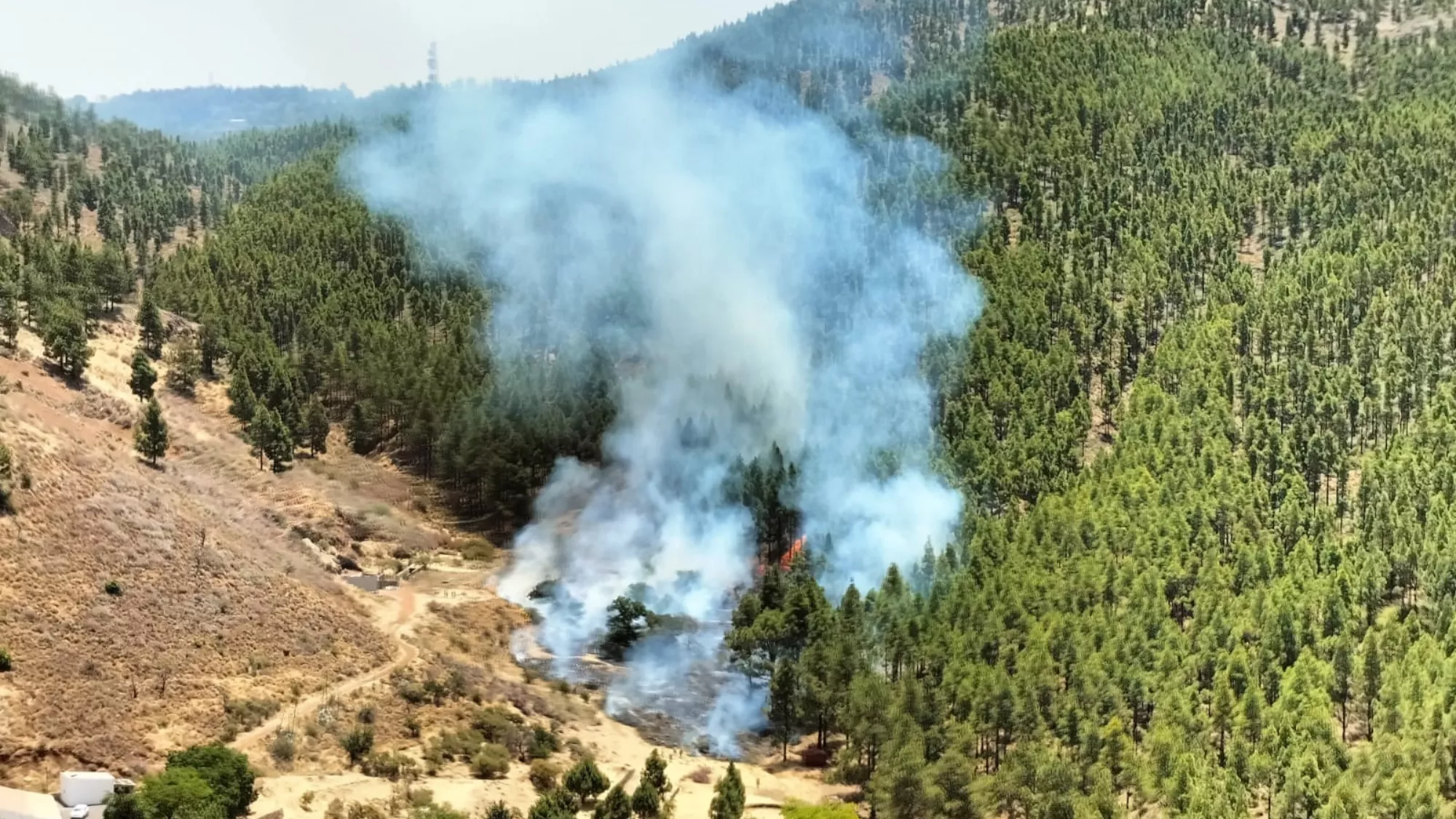 Conato de incendio en Tejeda / CABILDO DE GRAN CANARIA