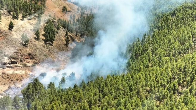 Conato de incendio en Tejeda / CABILDO DE GRAN CANARIA
