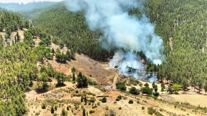 Conato de incendio en Tejeda / CABILDO DE GRAN CANARIA
