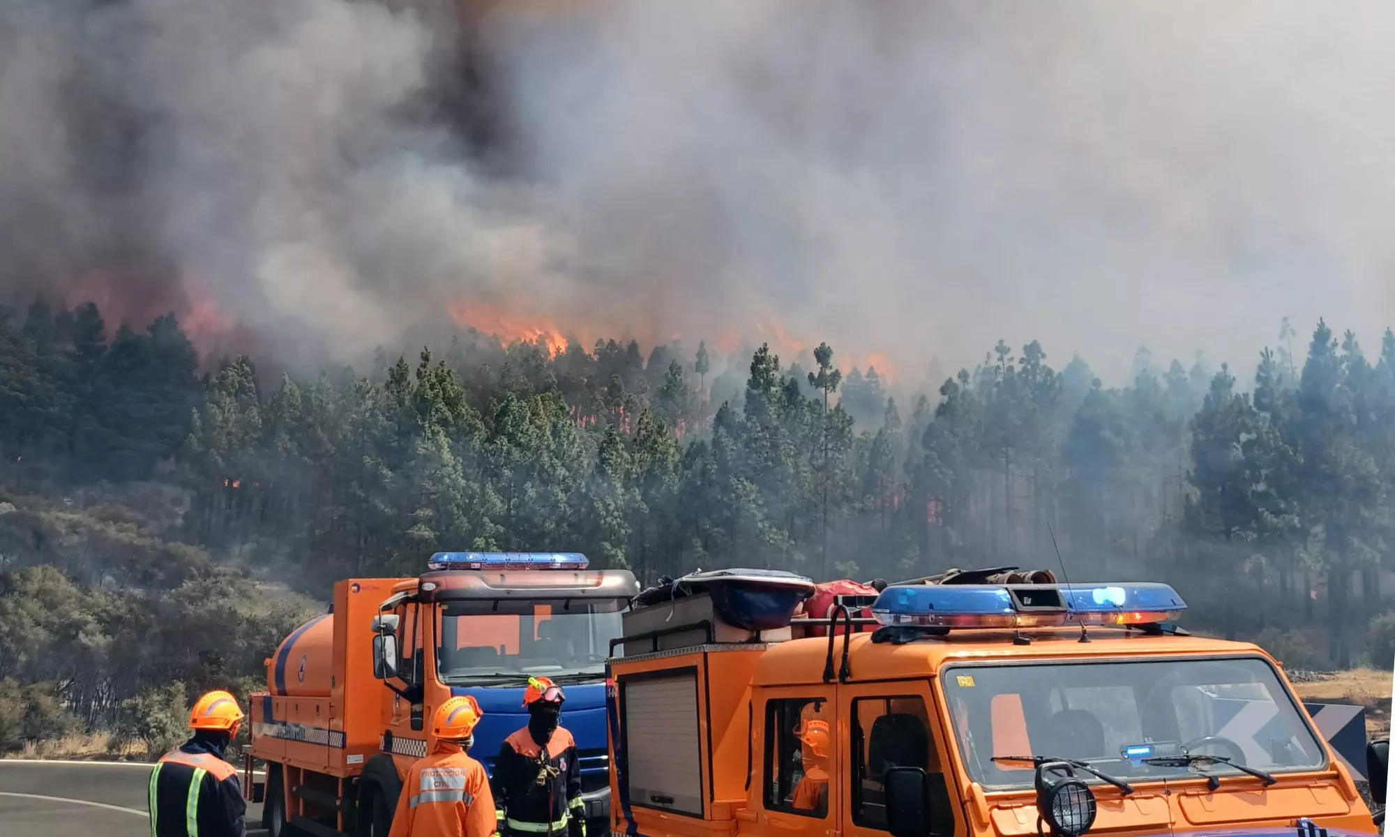 Incendio declarado este martes en el municipio de Tejeda, en Gran Canaria. / CABILDO DE GRAN CANARIA