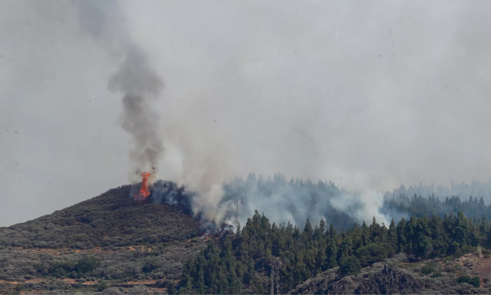 Incendio declarado en el municipio de Tejeda, en Gran Canaria. / EFE