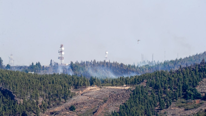 Incendio en Gran Canaria. / EFE