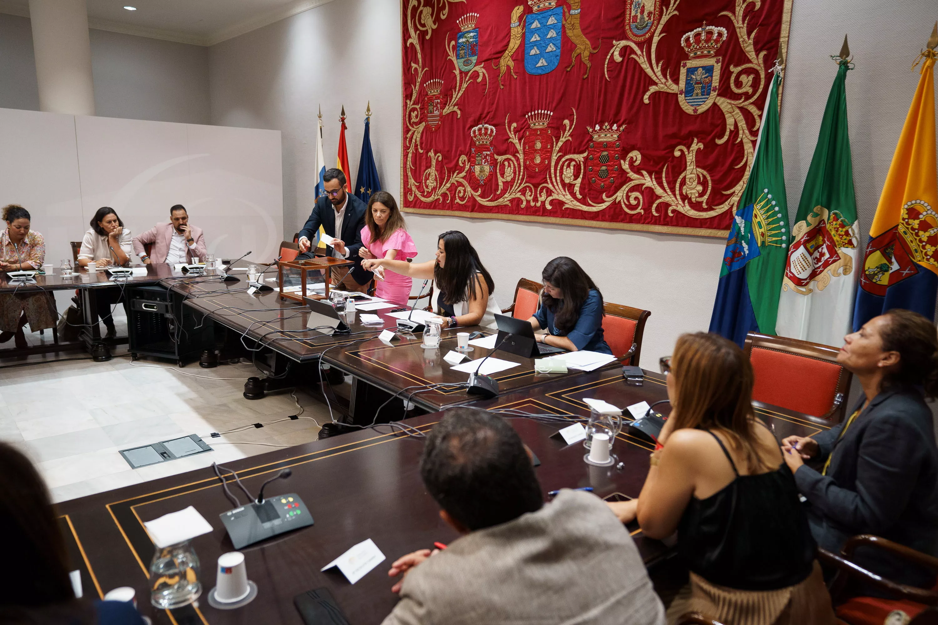 Momento de la formación de una de las comisiones del Parlamento de Canarias. / EFE-RAMÓN DE LA ROCHA