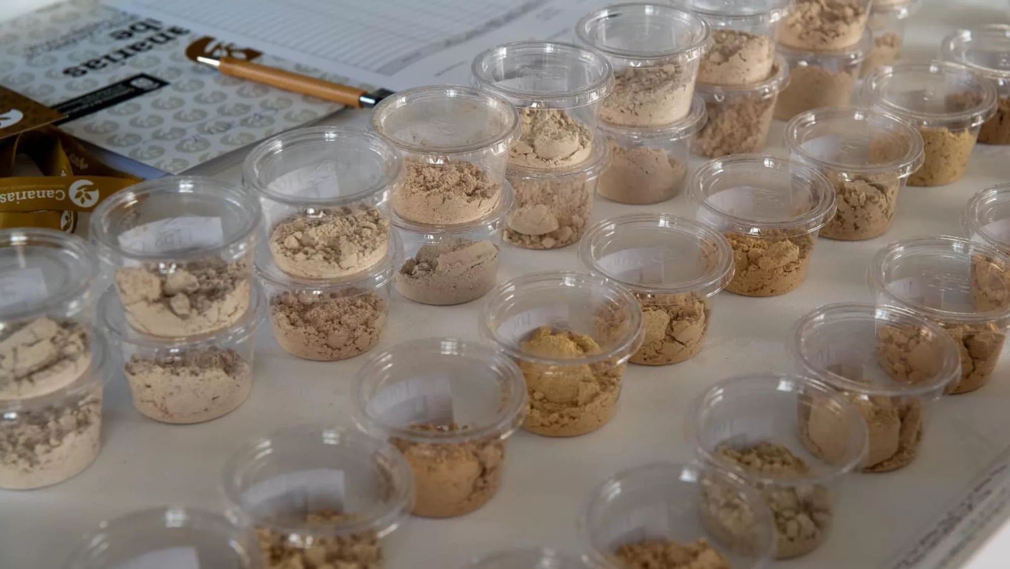 Diversos botes con gofio / GOBIERNO DE CANARIAS