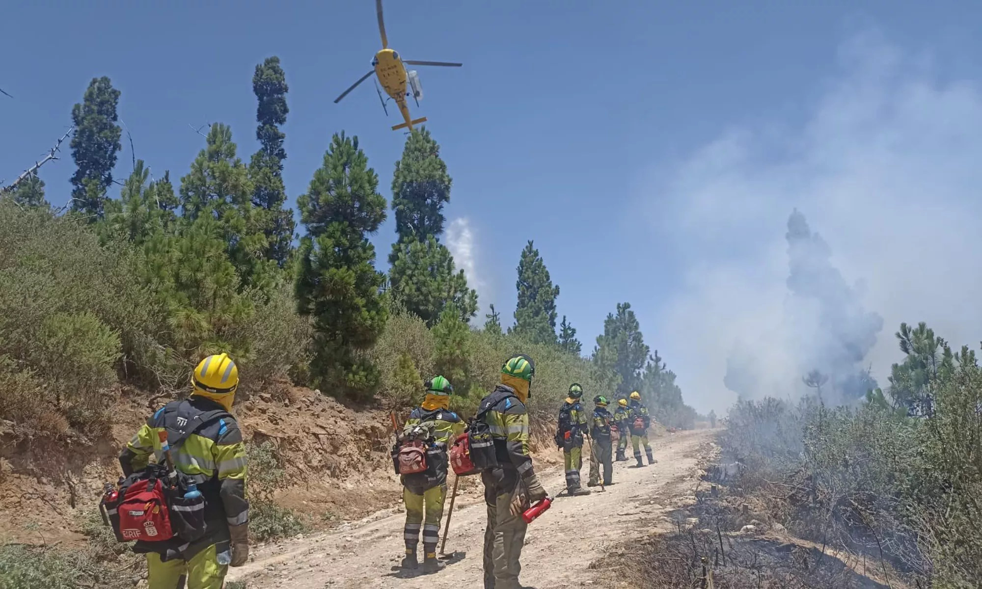 Imagen de archivo de una actuación de medios aéreos y terrestres de la EIRIF para sofocar un incendio en la cumbre de Gran Canaria. / EIRIF