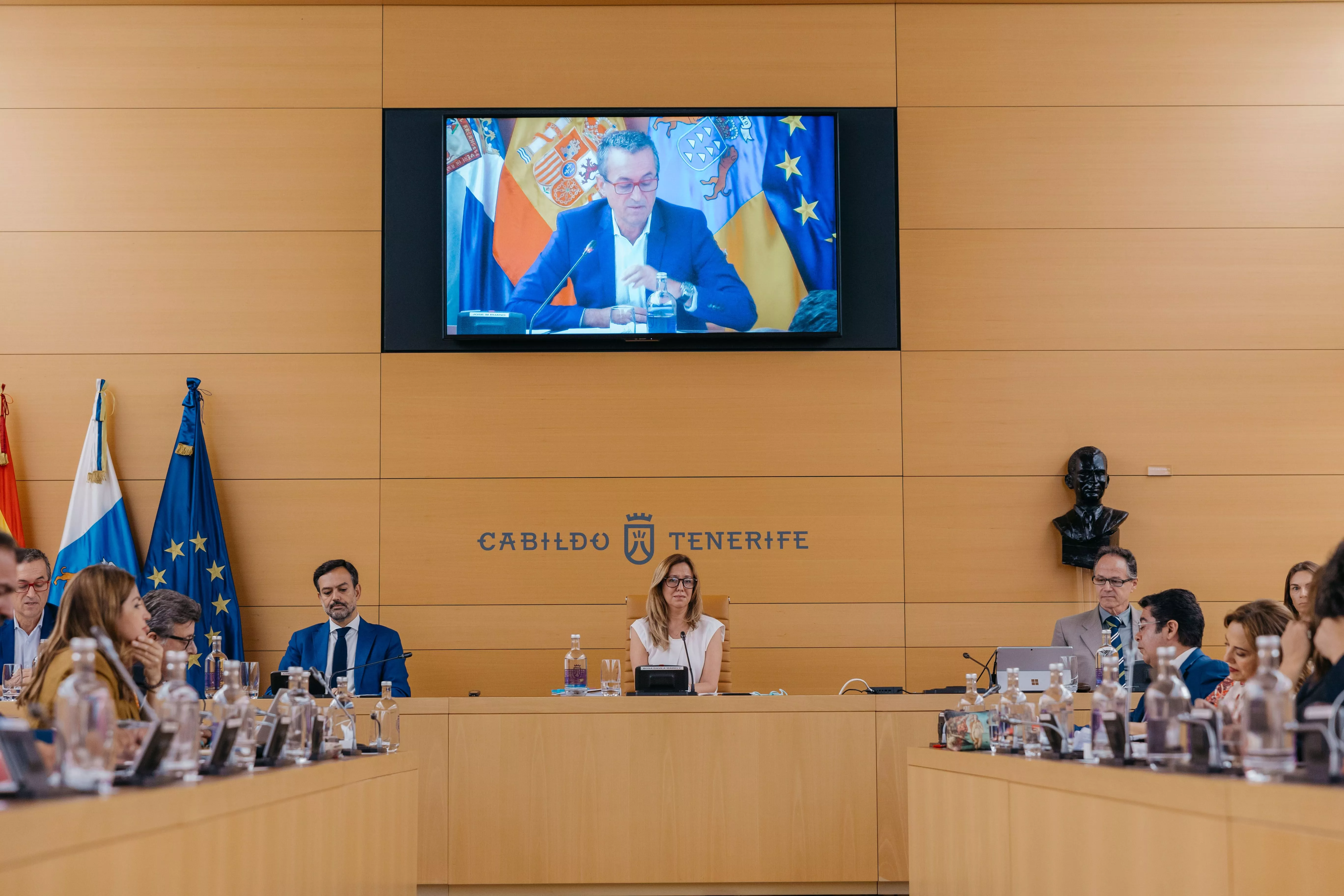 Pleno del Cabildo de Tenerife. / ARCHIVO-CEDIDA
