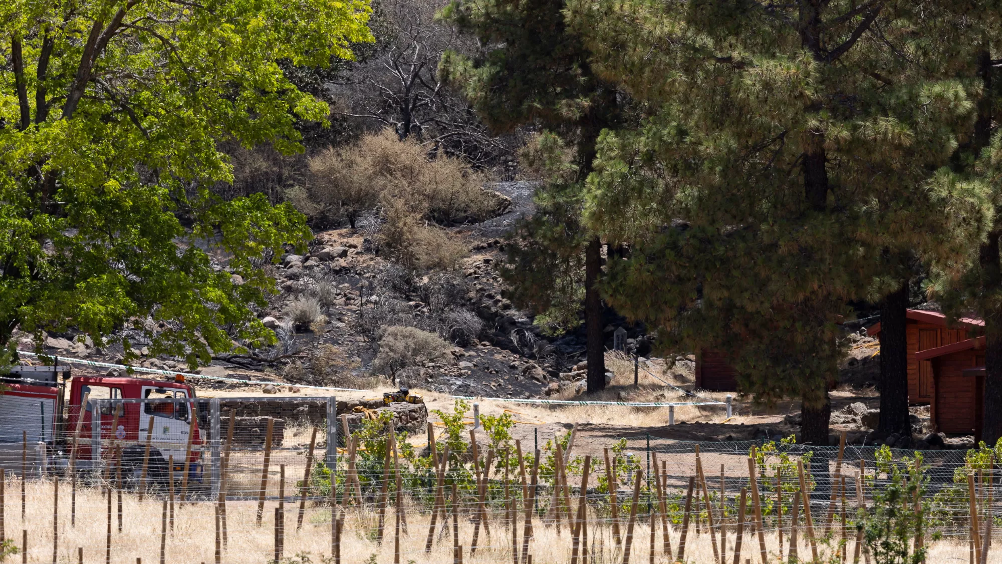 Incendio de Gran Canaria / EFE 