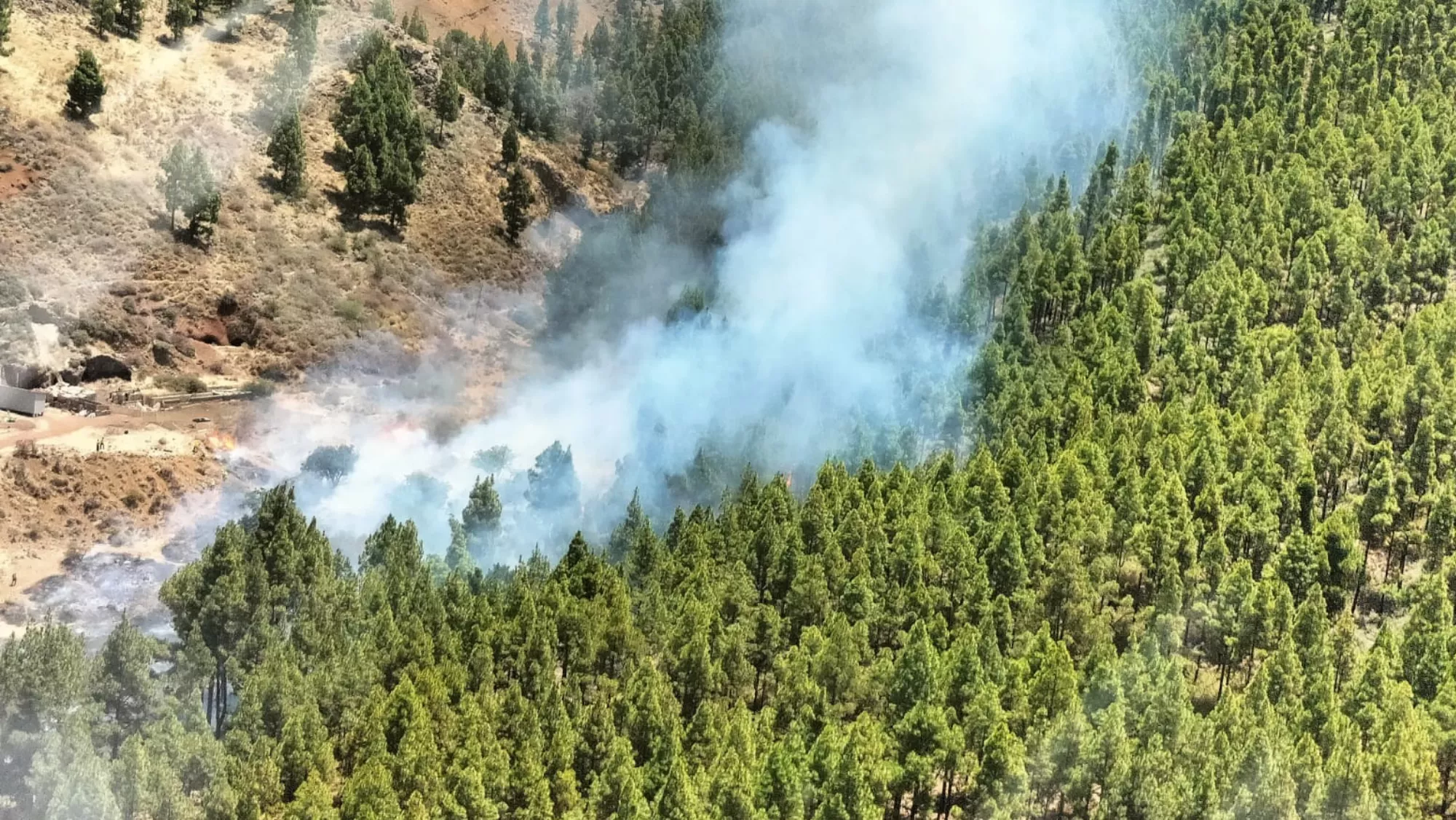 Incendio en Tejeda, en Gran Canaria. / CABILDO DE GRAN CANARIA