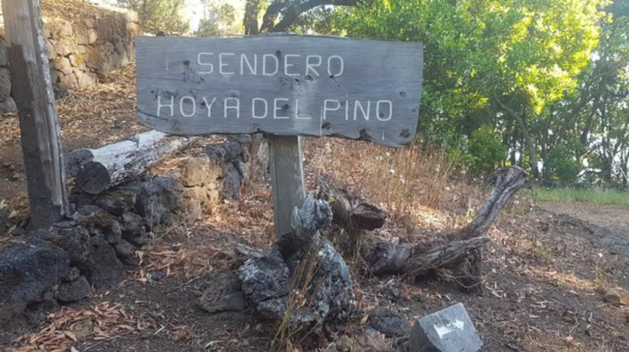 Área recreativas de la Hoya de El Pino, en El Hierro./ WIKILOC