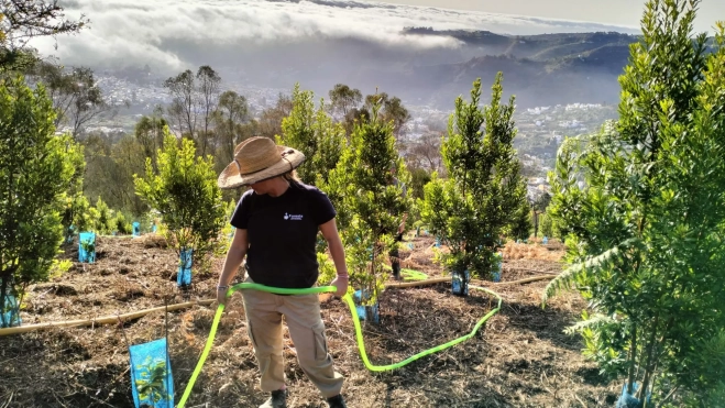 Proyecto Emplea Verde Gran Canaria 2022 / FUNDACIÓN FORESTA Proyecto Emplea Verde Gran Canaria 2022 / FUNDACIÓN FORESTA