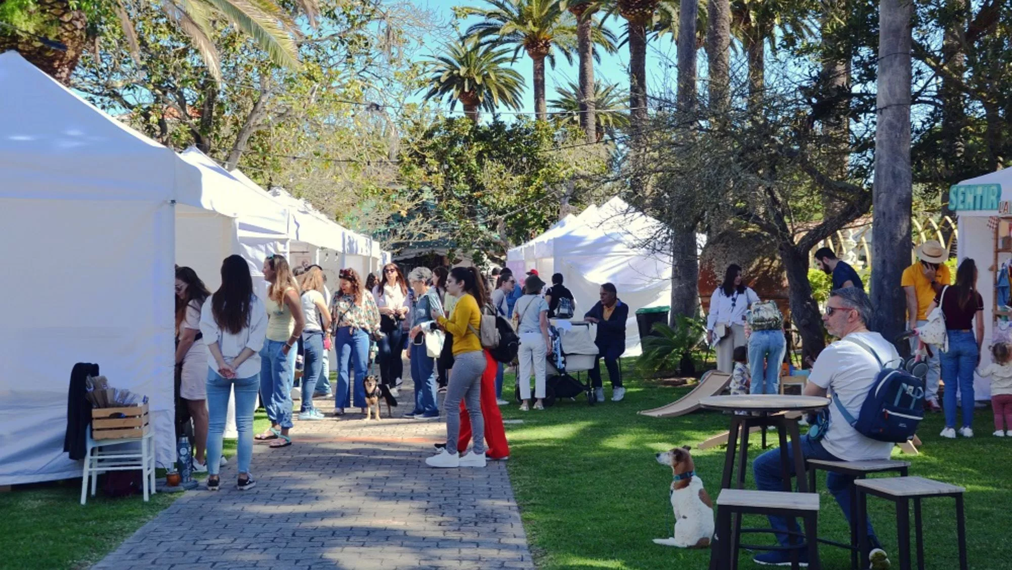 Celebración del Canary Market Place, que en su próxima edición se desplaza a Vilaflor / CEDIDA