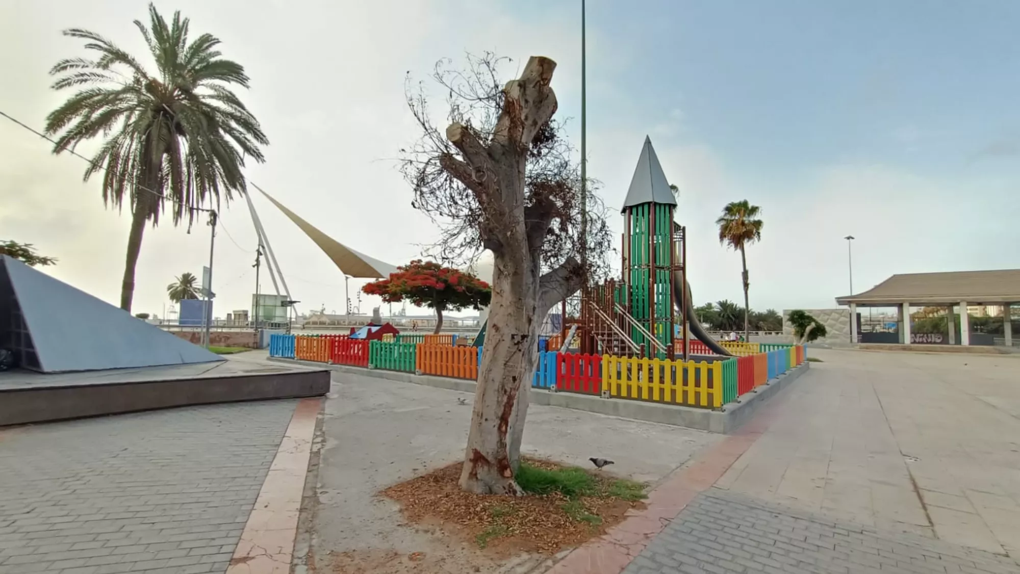 Uno de los árboles en mal estado en Santa Catalina / ATLÁNTICO HOY - MARCOS MORENO