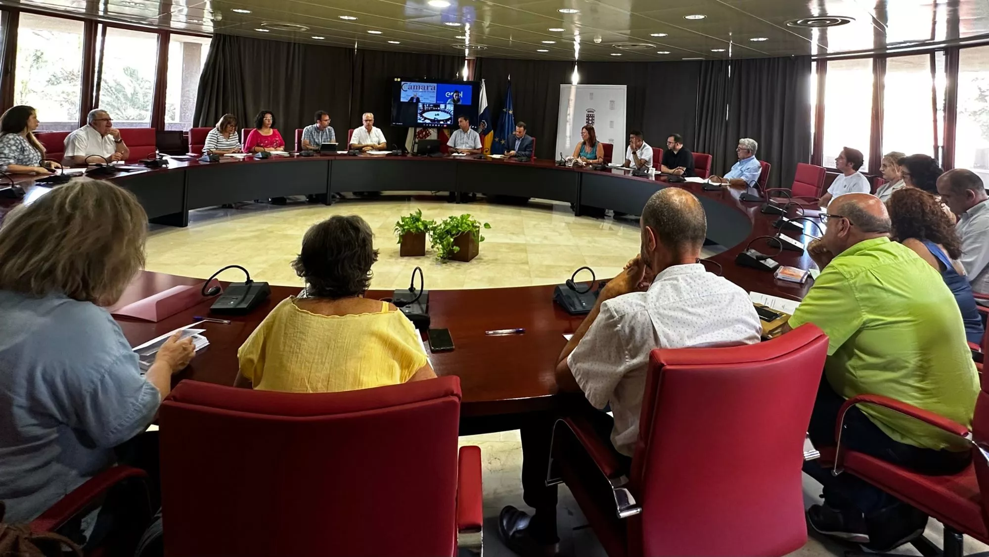 Cabildo de La Gomera, representantes del tejido económico y representantes de Endesa reunidos para decidir las medidas contra la empresa elétrica / CEDIDA