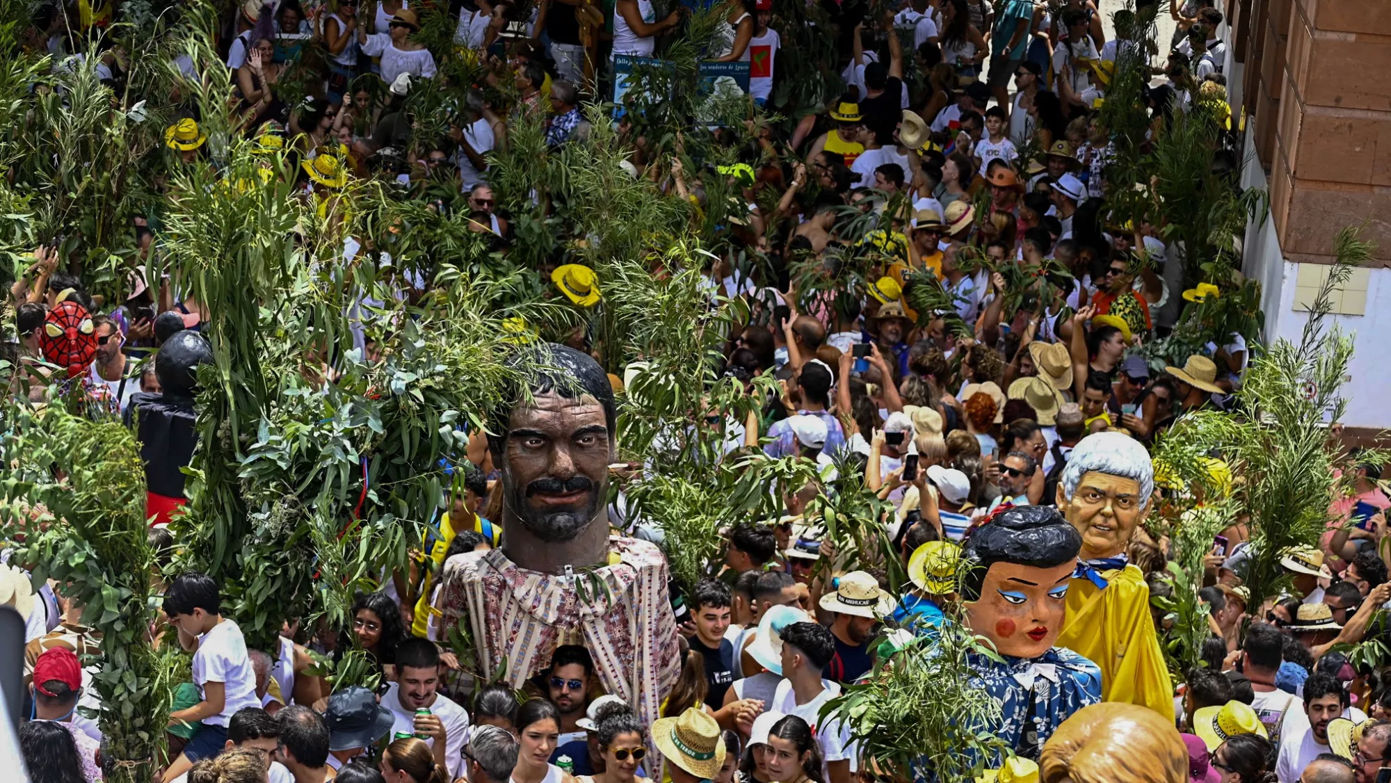 Imagen de La Rama de Agaete / AYUNTAMIENTO DE AGAETE