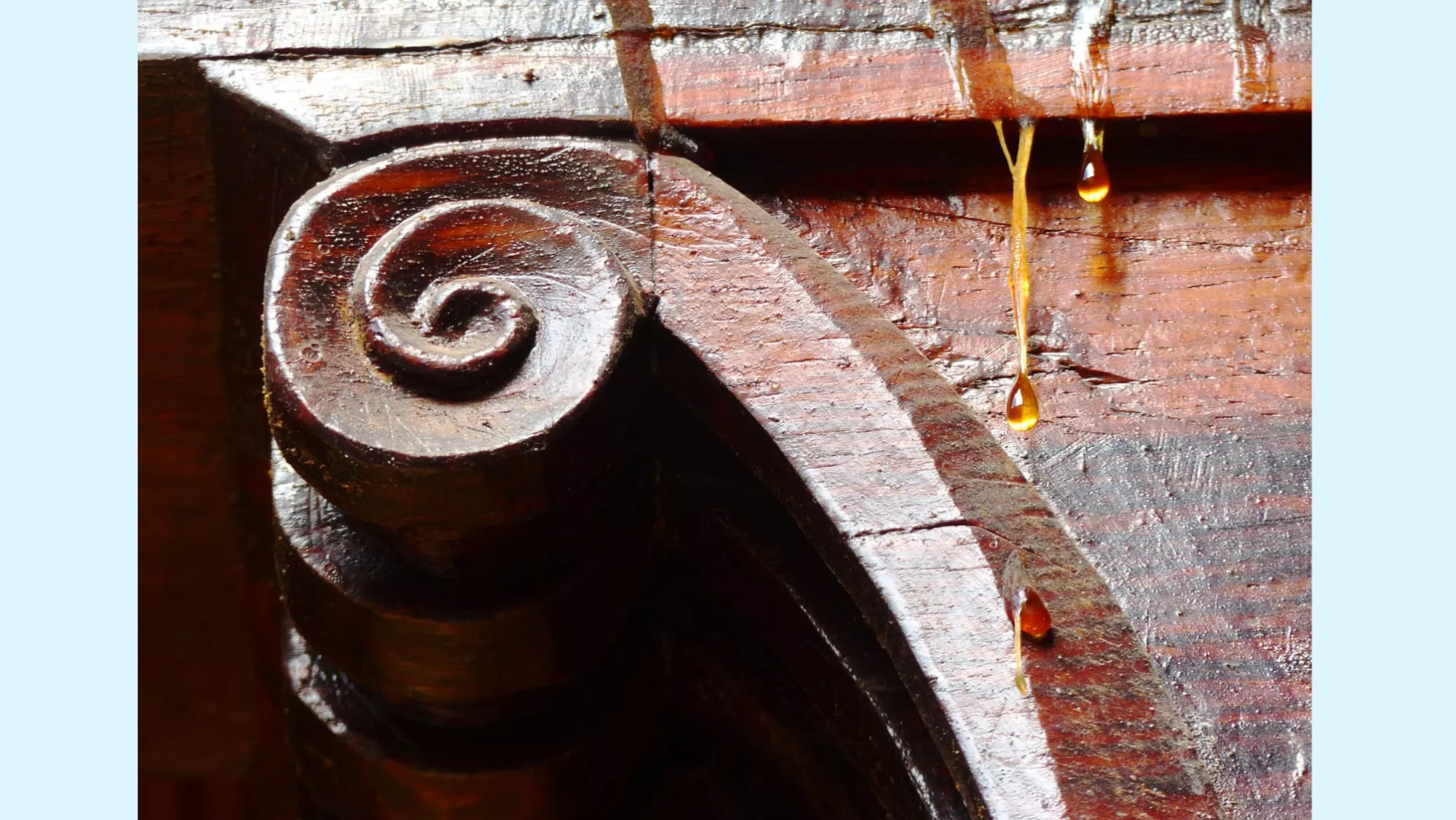Segundo premio de Maratón de Fotografía de 2022 / AYUNTAMIEENTO DE LA LAGUNA  