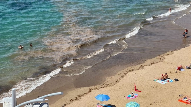 Microalgas en la playa de Las Canteras./ CIUDAD DE MAR