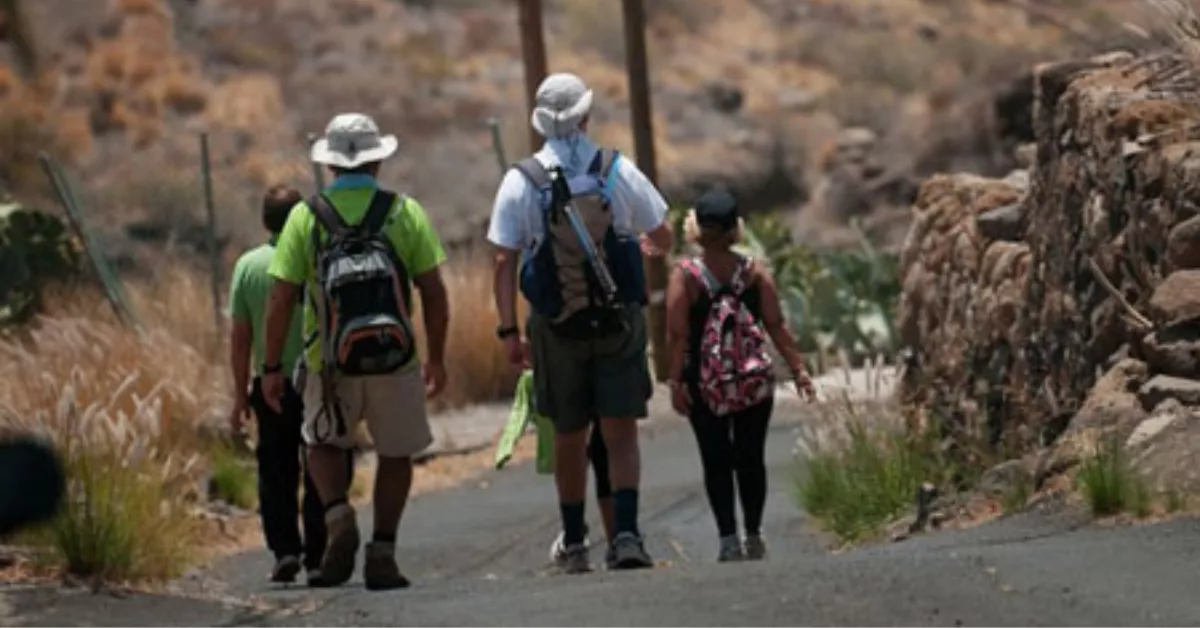 Un grupo de personas durante la peregrinación a Candelaria. / IMAGEN DE LA RED
