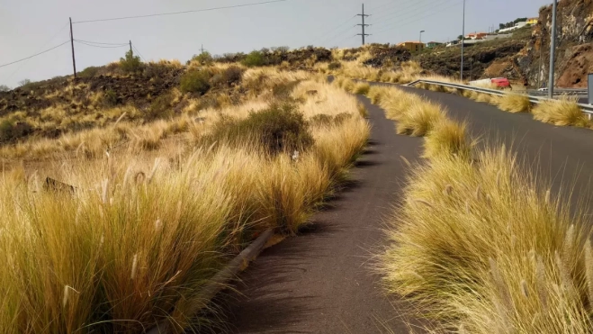 Parte del sendero del peregrino a su paso por Barranco Hondo, en Candelaria / ATLÁNTICO HOY Parte del sendero del peregrino a su paso por Barranco Hondo, en Candelaria / ATLÁNTICO HOY