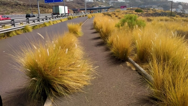 El camino a la altura de Barranco Hondo. / ATLÁNTICO HOY