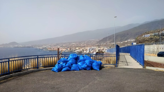 Labores de limpieza del rabo de gato. / CEDIDA 