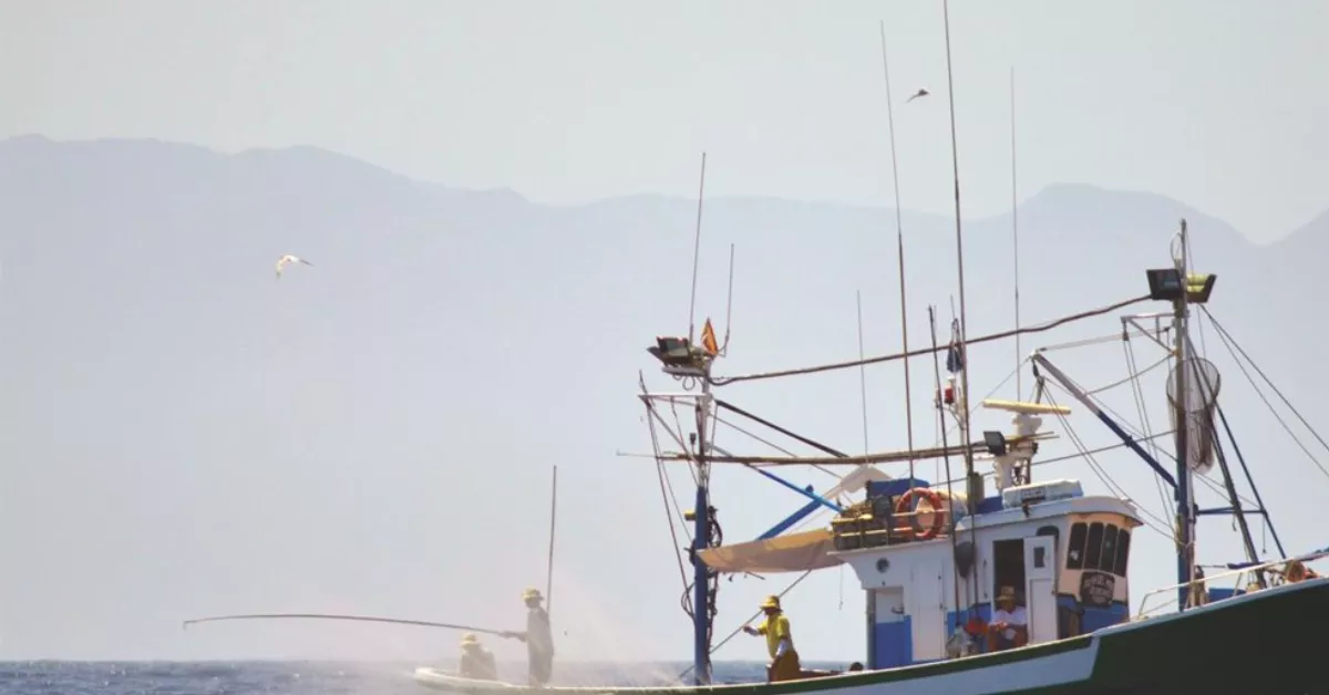 Barco de pesca en Canarias. / EUROPA PRESS Barco de pesca en Canarias. / EUROPA PRESS