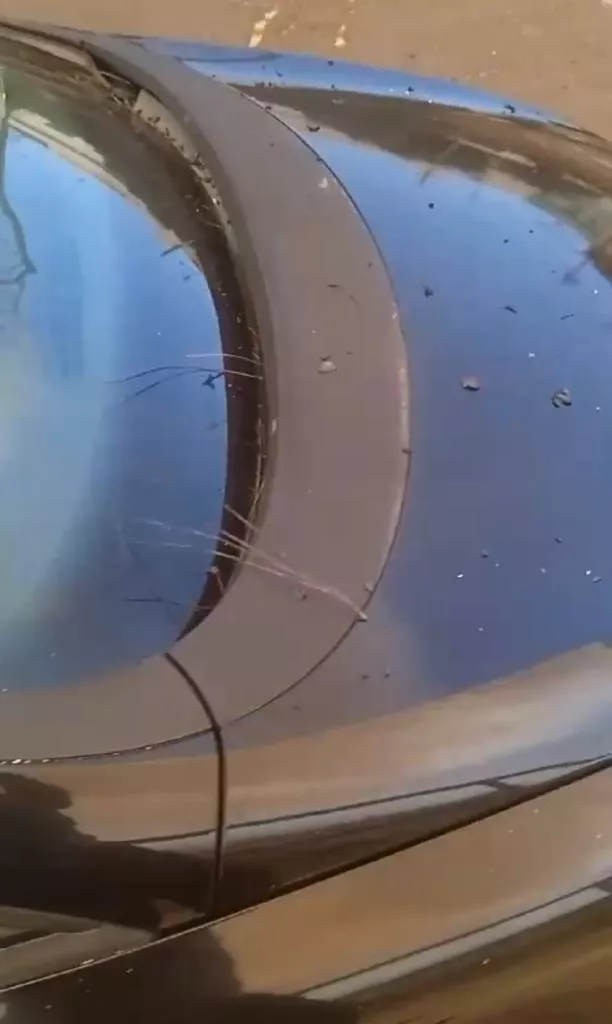 Vehículo con ceniza y pinocha. / ATLÁNTICO HOY