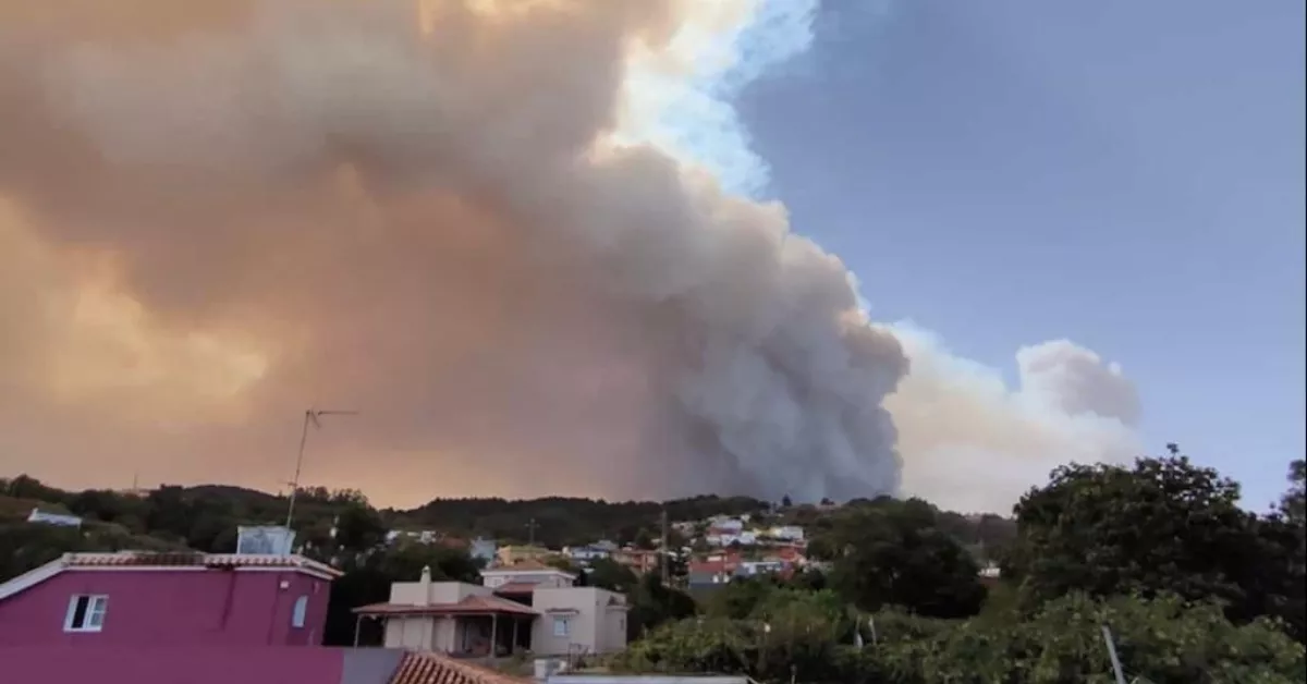 El humo del incendio desde Agua García. / CEDIDA