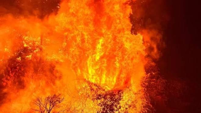 Imagen del fuego en Tenerife. / CEDIDA
