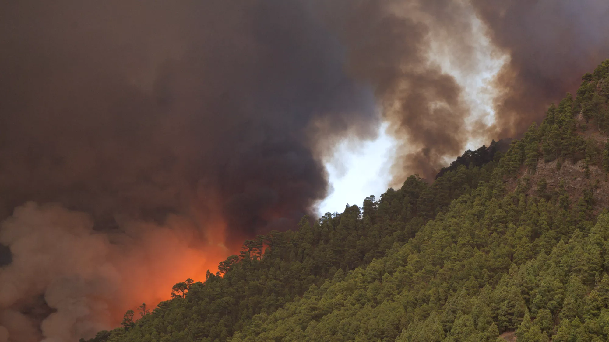 Se calcula que el incendio ha afectado a unas 800 hectáreas de los municipios de Arafo y Candelaria / EFE - RAMÓN DE LA ROCHA Se calcula que el incendio ha afectado a unas 800 hectáreas de los municipios de Arafo y Candelaria / EFE - RAMÓN DE LA ROCHA