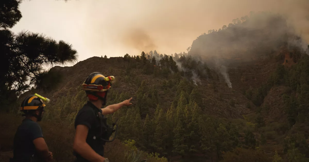 Durante la noche, 258 efectivos intervendrán para evitar que el fuego se siga extendiendo / EFE -  RAMÓN DE LA ROCHA