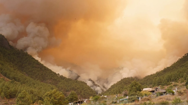 Las llamas del incendio en los municipios de Arafo y Candelaria han pasado la dorsal / EFE - RAMÓN DE LA ROCHA
