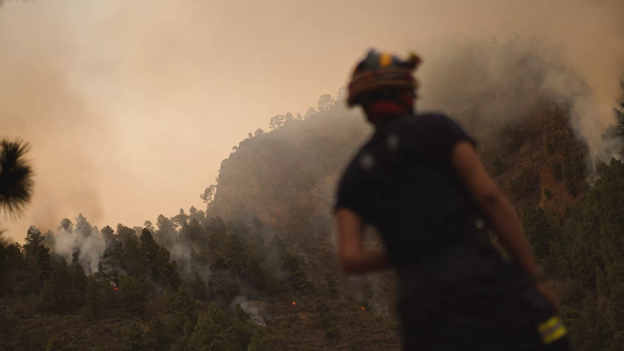 El incendio forestal de Tenerife avanza sin control / EFE