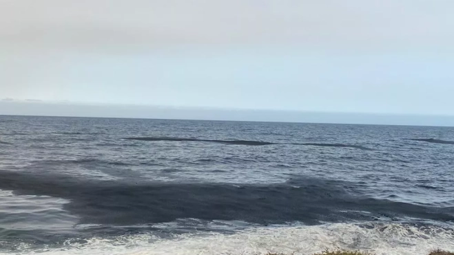 Marea de ceniza en la costa de Candelaria. / ATLÁNTICO HOY