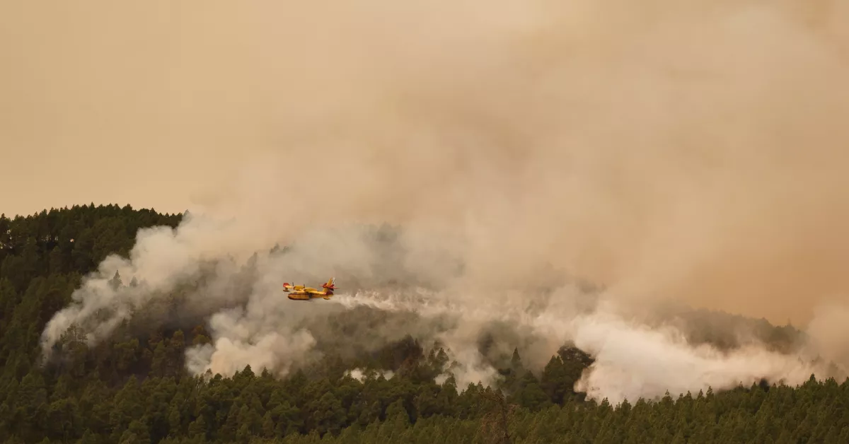 Avión anfibio descargando agua en el incendio forestal / RAMÓN DE LA ROCHA - EFE