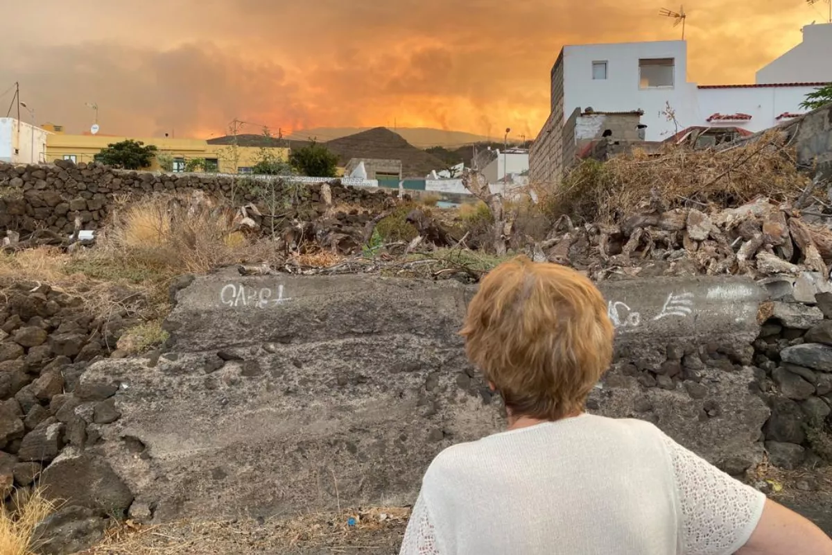 Probablemente el incendio afectó de lleno a la finca de Candelaria. / ATLÁNTICO HOY