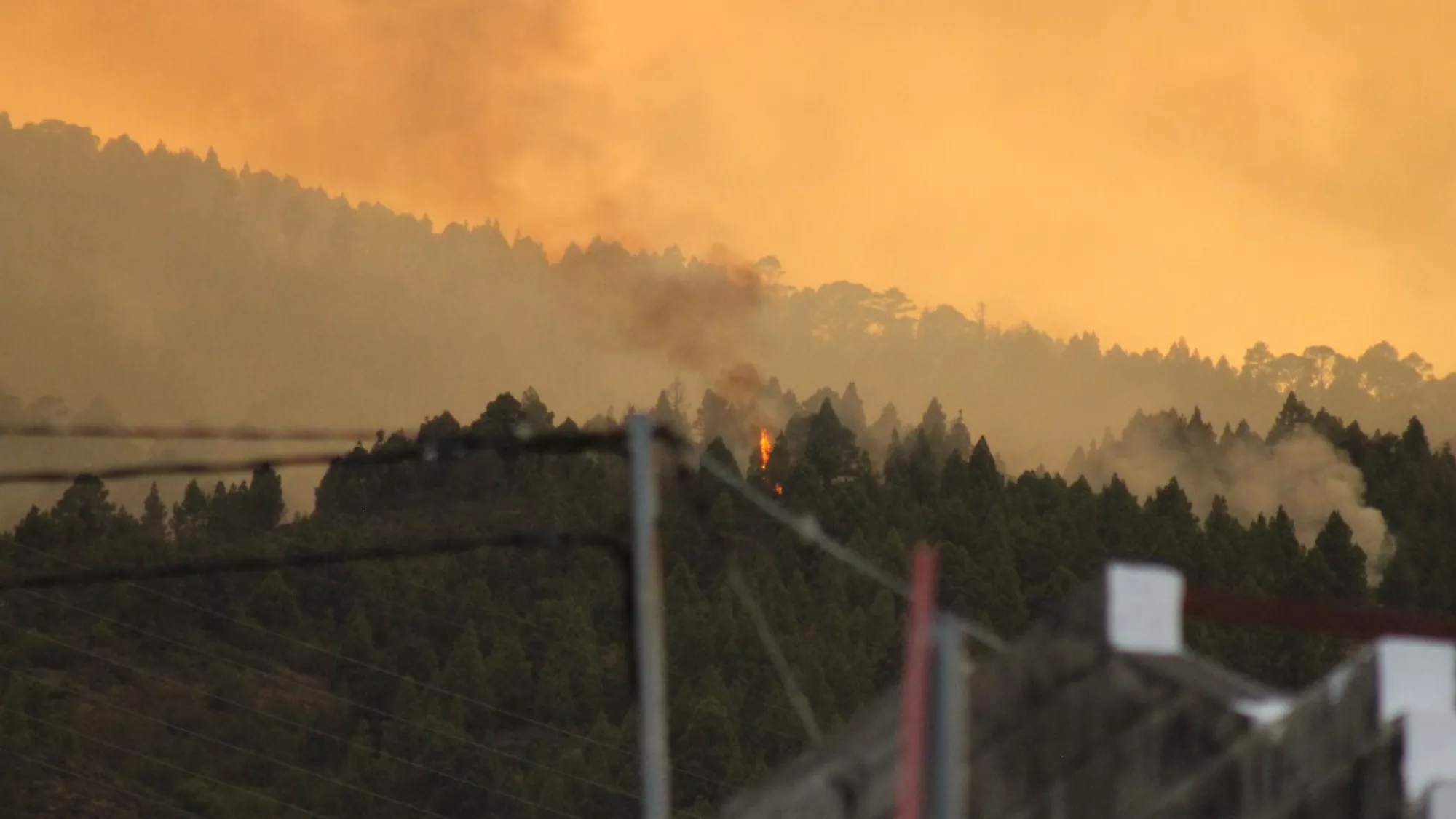 El fuego ha afectado a nueve municipios / ATLÁNTICO HOY - ALBA MARICHAL