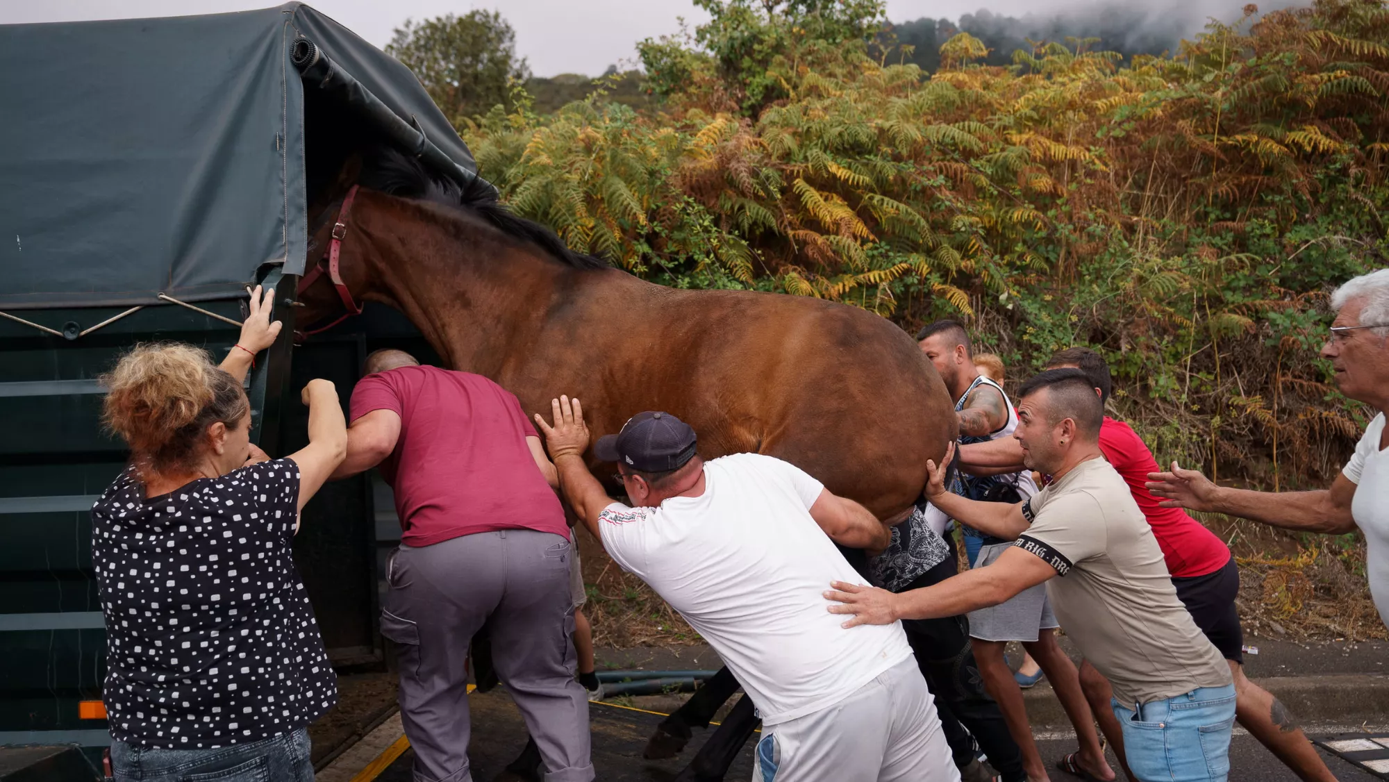 Las personas trasladan a sus animales tras la orden de desalojo / EFE - RAMÓN DE LA ROCHA