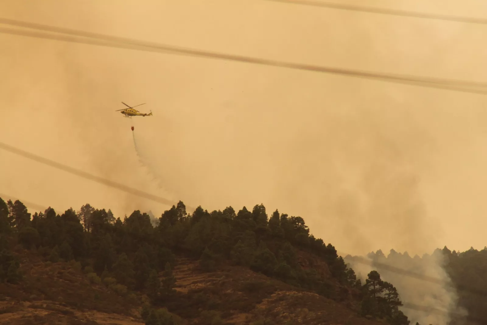 Labores de extinción del incendio forestal de Tenerife. / ATLÁNTICO HOY