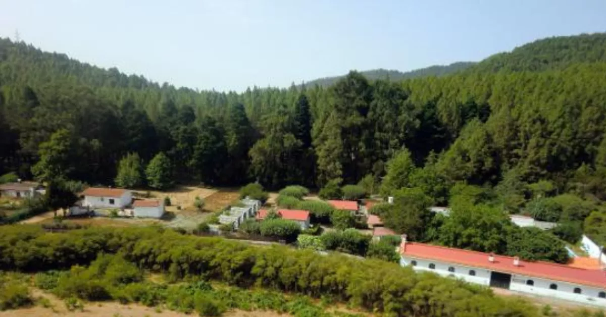 Campamento Quimpi, en Las Lagunetas (El Rosario)./ CAMPAMENTO QUIMPI