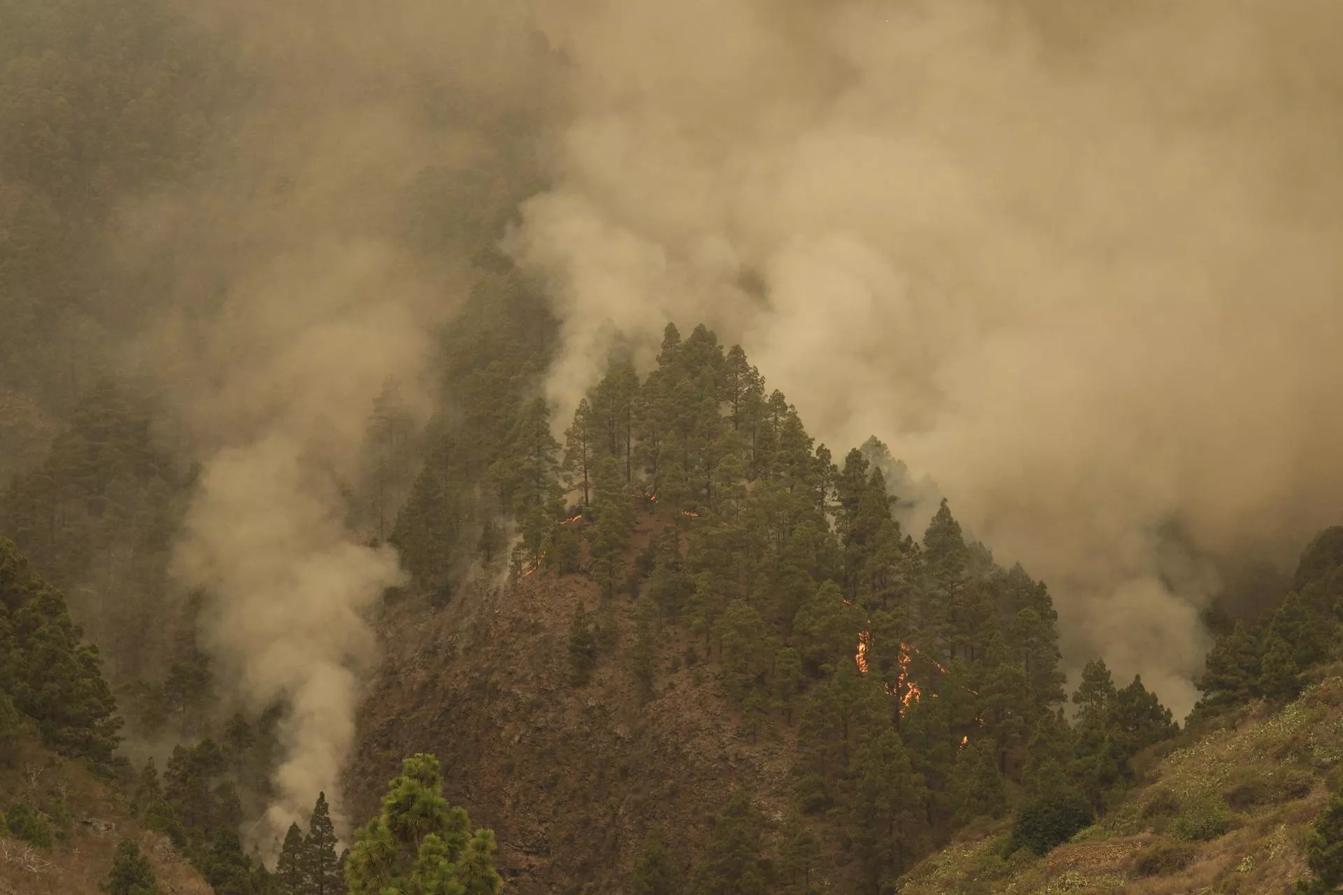 El fuego avanza en uno de los valles del municipio de Arafo, donde se inició el incendio forestal de Tenerife. EFE/Alberto Valdés