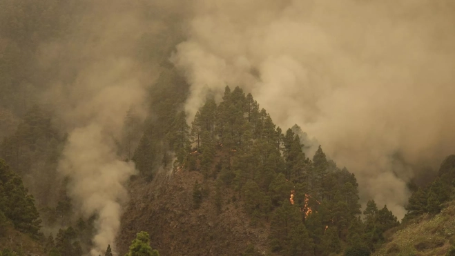 El fuego avanza en uno de los valles del municipio de Arafo, donde se inició el incendio forestal de Tenerife. EFE/Alberto Valdés